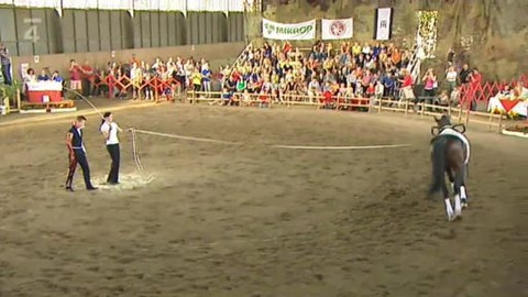 Jezdectví - M ČR ve voltiži