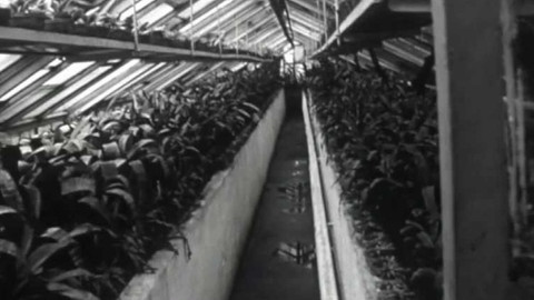 Zelený magazín - Zelený magazín 2