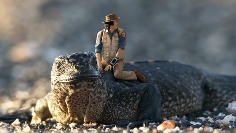 Andy na safari - Leguán mořský