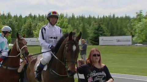 Turf - 20. května 2015