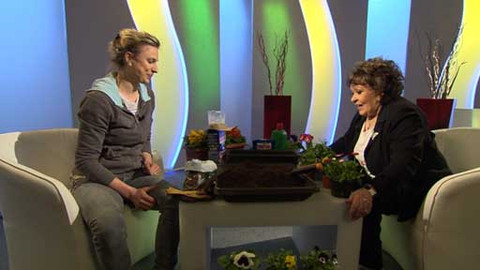 Hobby naší doby - 11. dubna 2015