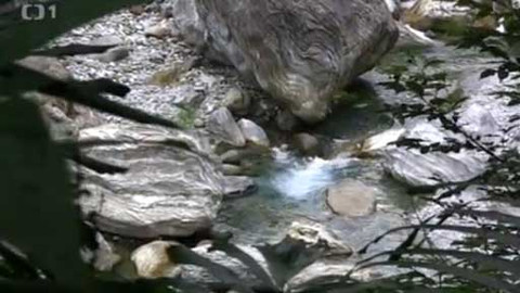 Objektiv - 28. června 2015