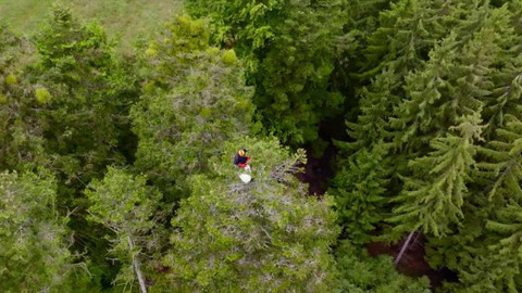 Co naše babičky uměly a na co my jsme zapomněli - Od semínka ke stromku