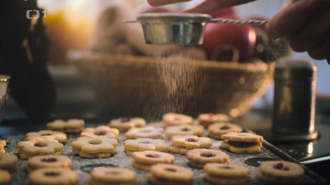 Herbář - 1. prosince 2024