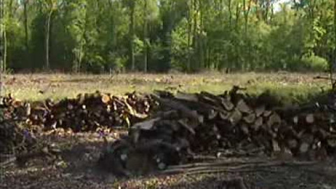 Nedej se! - Soutok Morava–Dyje