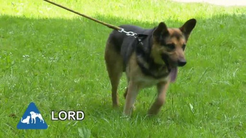 Chcete mě? - 19. června 2011