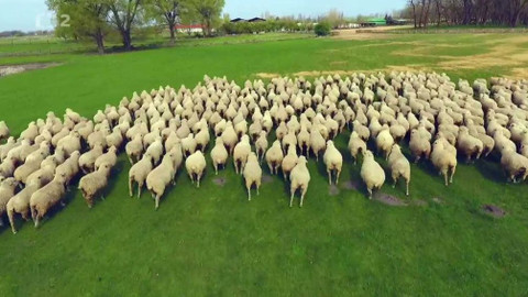 Evropa dnes - Zelený kontinent