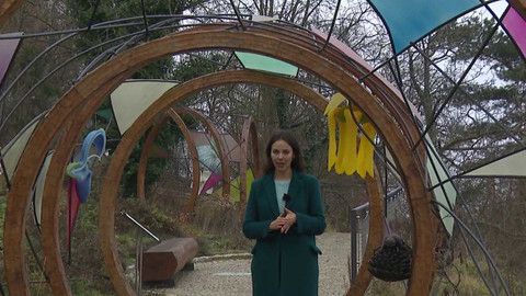 Studio 6 víkend - 3. ledna