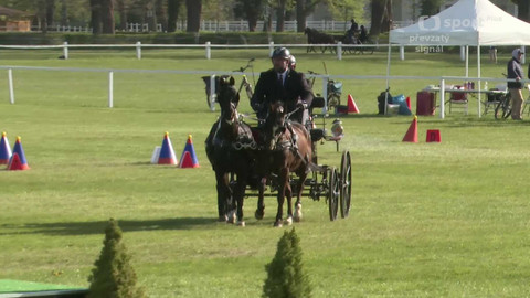 Jezdectví - Rudolfův pohár