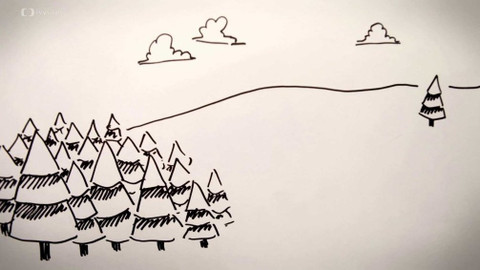 Děti kreslí písničky - Zajíc na bobku