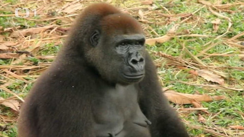 Objektiv - 9. prosince 2012