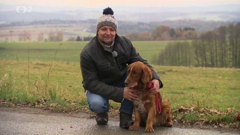 Chcete mě? - 13. prosince 2020