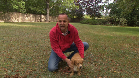 Chcete mě? - 27. září 2020