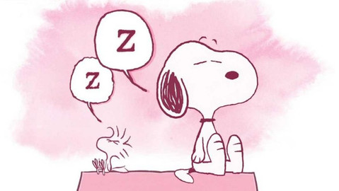 Snoopy - Soutěž krásy