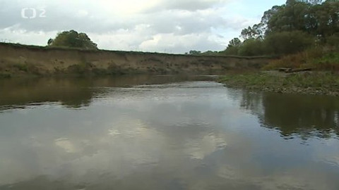 Přidej se - Řeka se dřevem