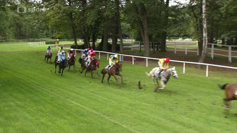 Dostihy - III. kvalifikace na 127. Velkou pardubickou s Českou pojišťovnou