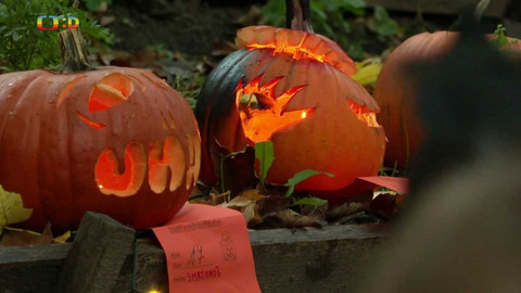 Zprávičky - 25. října 2022