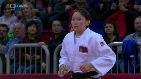 IJF World Tour - Německo