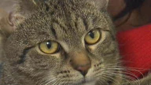 Chcete mě? - Chcete je?