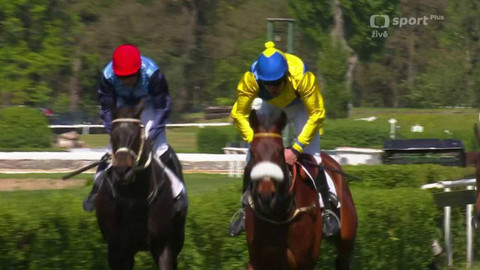 Dostihy - Úvodní cross country Koroka