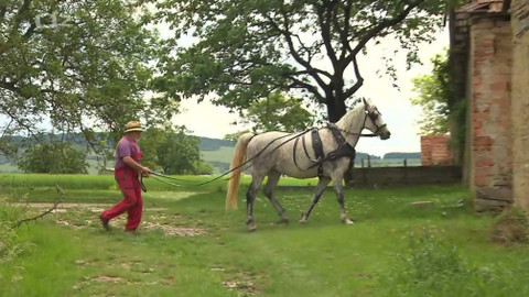 Náš venkov - Zachraňte stodoly