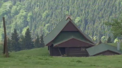 Toulavá kamera - 6. září 2009