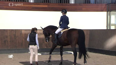 Global Champions - Global Champions League Slovensko I.