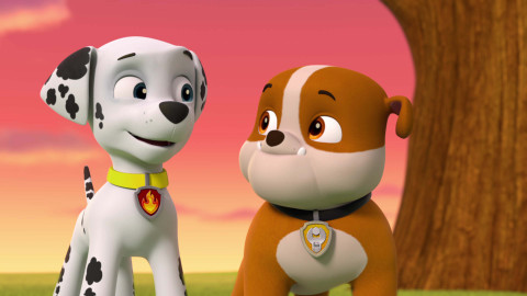 Tlapková patrola - Tlapky zachraňují vesmírný kámen / Tlapky zachraňují paní starostku