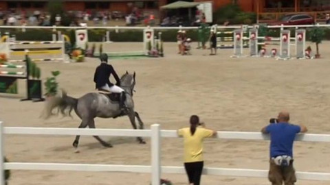 Jezdectví - MČR ve skocích mladých jezdců a seniorů 2015 Ptýrov u Mnichova Hradiště