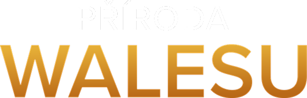 Příroda Walesu