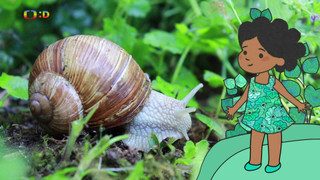 Velká kniha o zvířátkách II