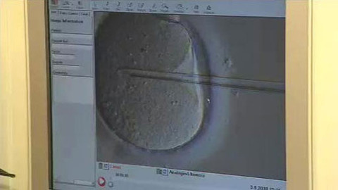 Q - 13. května 2011