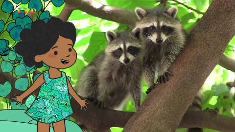 Velká kniha o zvířátkách - Epizoda 48/52