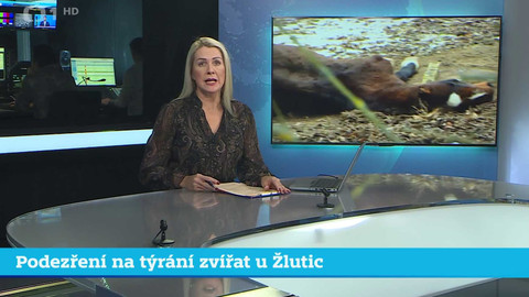 Události v regionech (jih a západ) - 15. ledna