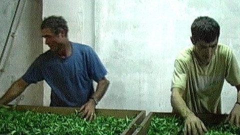 Objektiv - 28. prosince 2008