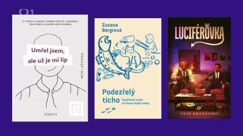 Magnesia Litera - Litera za humoristickou knihu