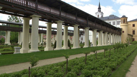 Týden v regionech (Brno) - 24. května