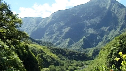 Příběhy z jižních moří - 5/11 Údolí Papenoo