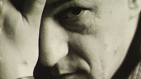 Úsměvy - Úsměvy Jaroslava Papouška