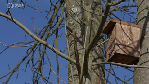 Regiony ČT24 - 1. února