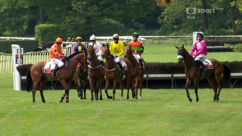 Dostihy - Úvodní cross country Koroka