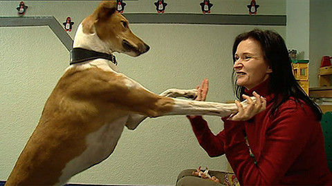 Svět zázraků - 18. dubna 2013