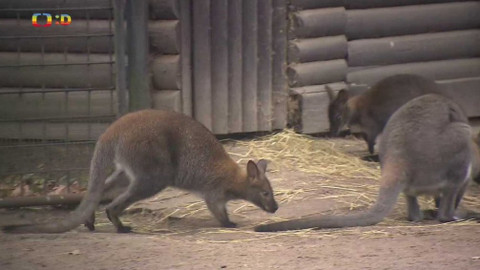 Tamtam - 27. listopadu 2021