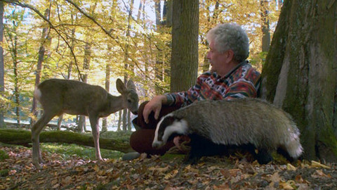 Pohádky pro štěňátka - 13/13 O podzimním setkání