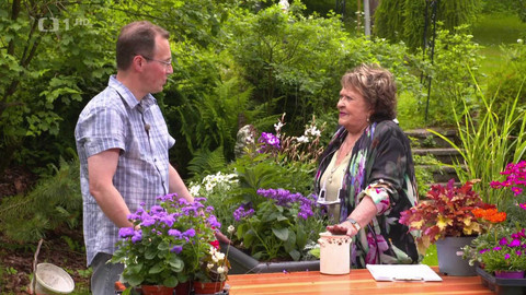 Hobby naší doby - Hobby naší doby - letní speciál