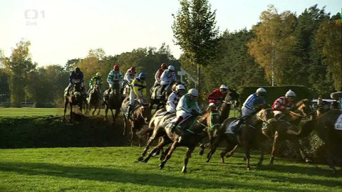 Velká pardubická - 129. Velká pardubická se Slavia pojišťovnou