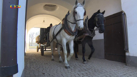 Zprávičky - 27. prosince