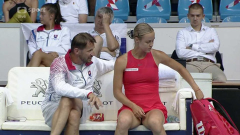 Tenis - Slovensko - Česko