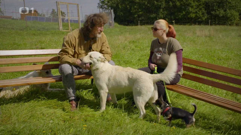 Kočka není pes - Uštěkaný Čert a bázlivá Sheila