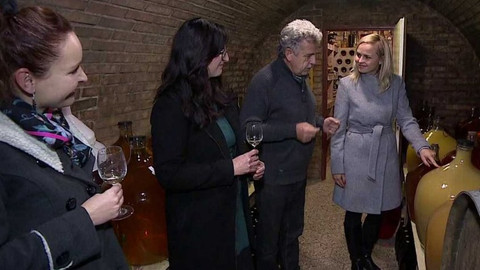 Týden v regionech (Brno) - 16. listopadu 2019